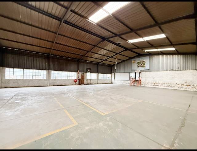 1,256M² WAREHOUSE TO LET IN WADEVILLE